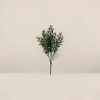 Orquídeas phalaenopsis simuladas macetas de plástico plantas verdes artificiales plantas verdes decorativas de interior Specification image